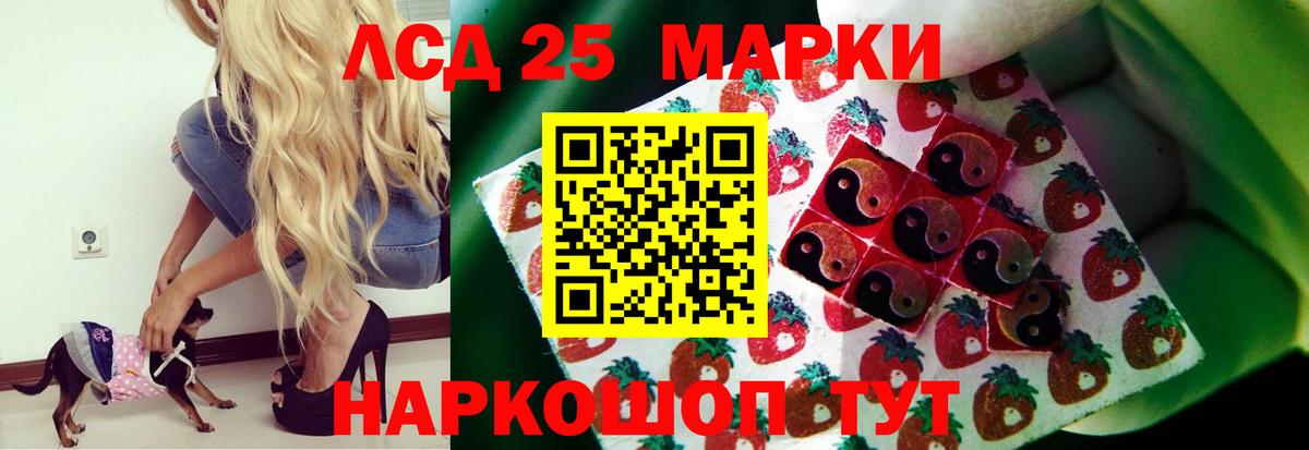 LSD-25 экстази кислота  Лсд 25 экстази кислота  Альметьевск  Вход с VPN 
