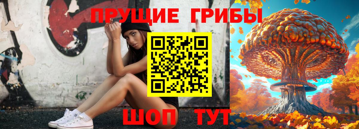 Псилоцибиновые грибы GOLDEN TEACHER  Вход с VPN  Альметьевск 