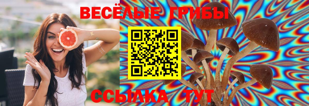 Галлюциногенные грибы MAGIC MUSHROOMS Альметьевск